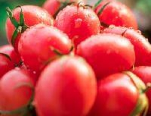 西紅柿炒雞蛋的營養(yǎng)價(jià)值