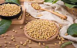 黃豆黑豆花生豆漿的功效與作用